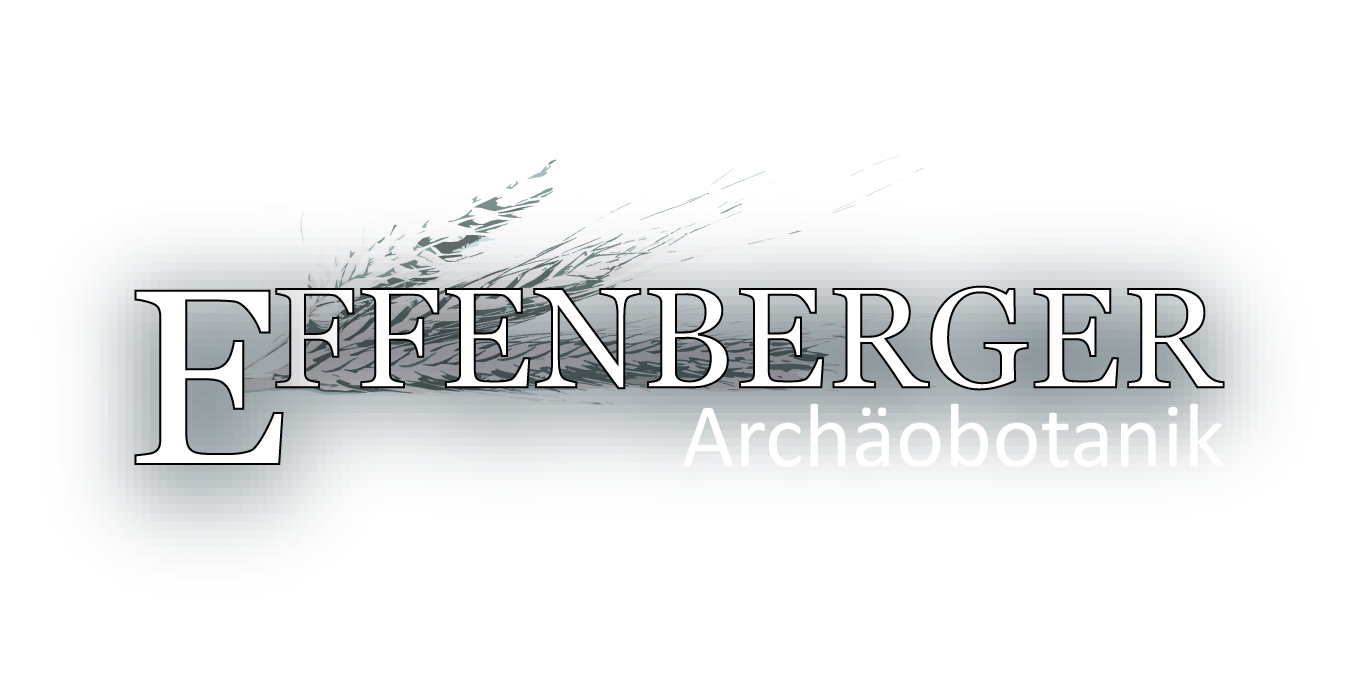 Kontakt Effenberger Archäobotanik